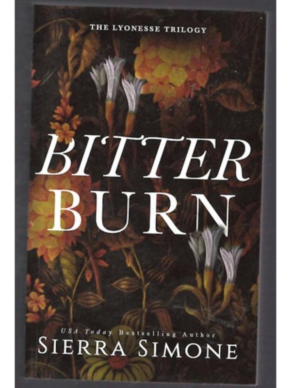 Bitter Burn by Sierra Simone